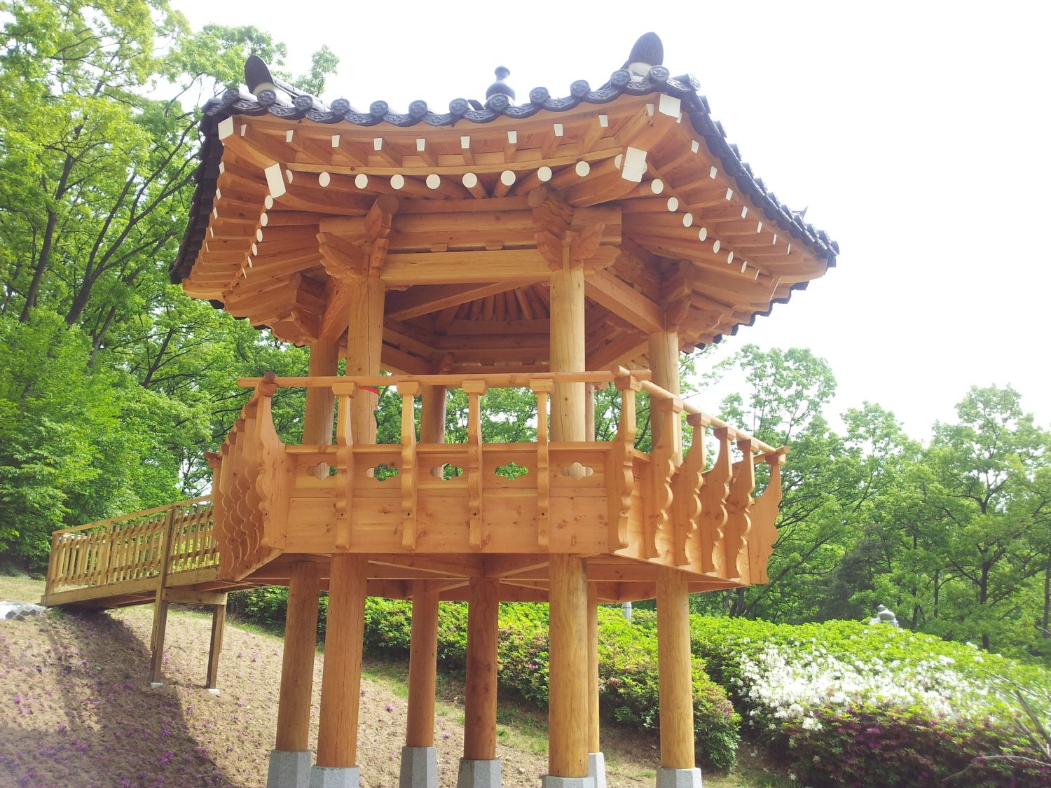 육각정자